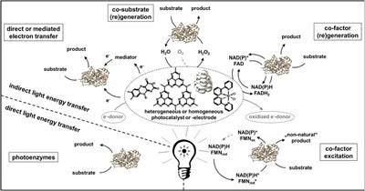 Process Intensification as Game Changer in Enzyme Catalysis